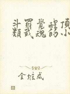 斗罗觉醒顶级龙类武魂的小说