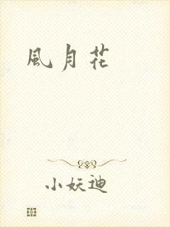风月花封面