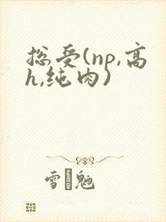 总受(np,高h,纯肉)