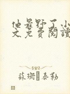 他最野了小说全文免费阅读无弹窗封面