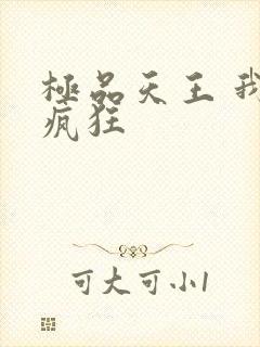极品天王 我本疯狂