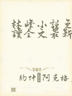 林峰小说免费阅读全文最新章节