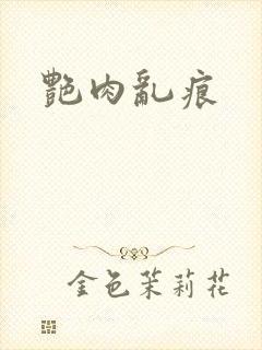艳肉乱痕封面