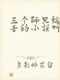 三个师兄轮流上音的小说叫什么