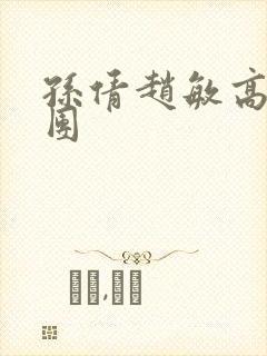 孙倩赵敏高义大团