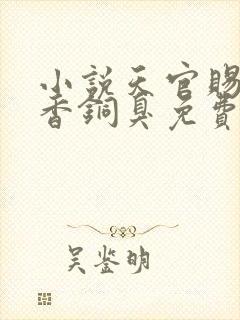 小说天官赐福墨香铜臭免费阅读全文