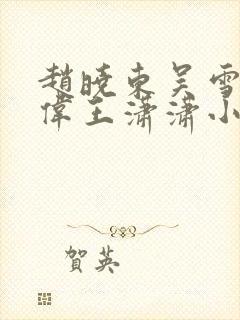 赵晓东吴雪晴郑伟王潇潇小说名字