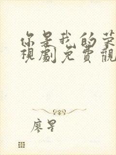 你是我的荣耀电视剧免费观看高清完整版