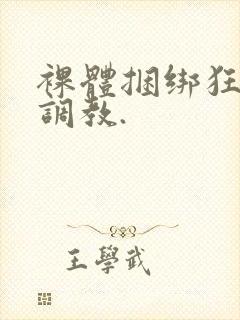 裸体捆绑狂虐性调教.封面