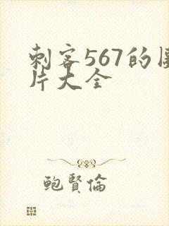 刺客567的图片大全封面