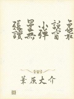 张曼小说免费阅读无弹窗最新章节