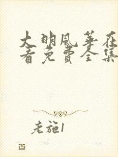 大明风华在线观看免费全集完整版