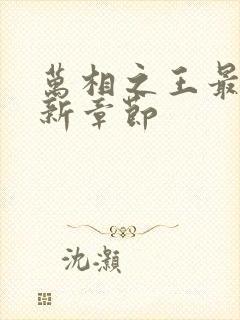 万相之王最新更新章节