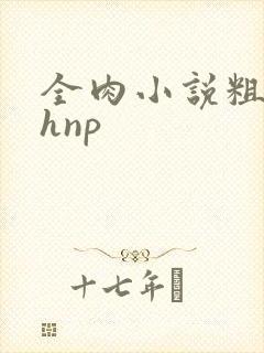 全肉小说粗暴高hnp