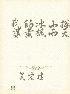 我的冰山总裁老婆黄枫雨天