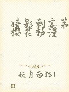 暗影刺客第4季樱花动漫