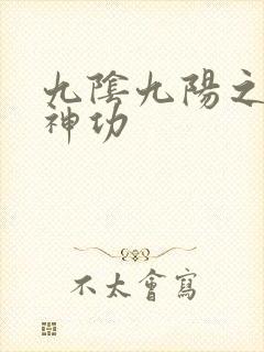 九阴九阳之阴阳神功