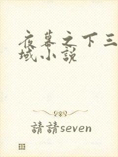 夜幕之下三九音域小说