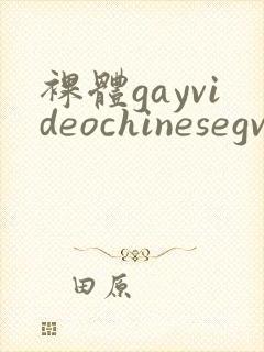 裸体gayvideochinesegv