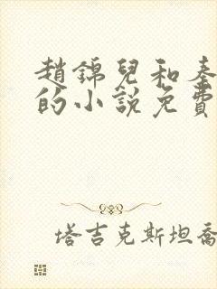 赵锦儿和秦慕修的小说免费阅读全文