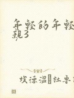 年轻的年轻的母亲3封面