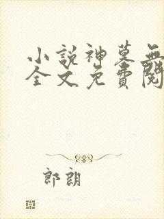 小说神墓无弹窗全文免费阅读封面