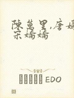 陈万里,唐嫣然宋娇娇