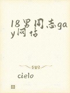 18男同志gay网站封面