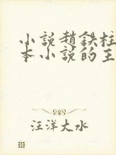 小说赵铁柱是哪本小说的主人公
