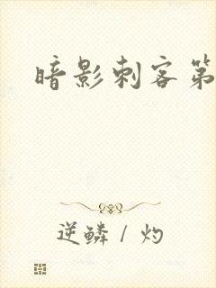 暗影刺客第4季封面