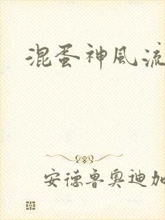 混蛋神风流封面