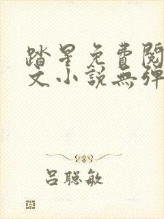 踏星免费阅读全文小说无弹窗封面