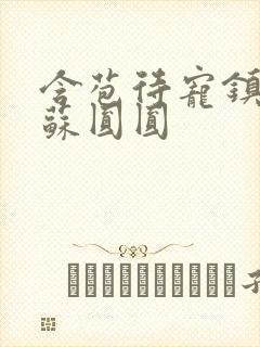 含苞待宠镇国公苏圆圆