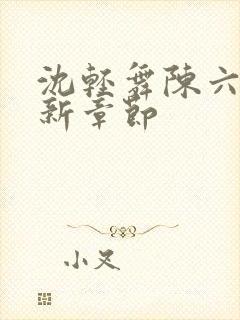 沈轻舞陈六何最新章节