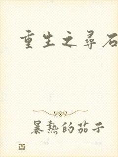 重生之寻石者封面