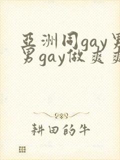亚洲同gay男男gay做爽爽的视频