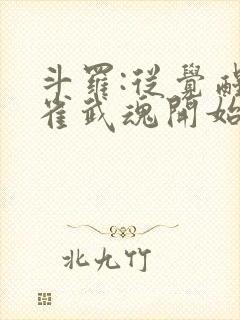 斗罗:从觉醒朱雀武魂开始