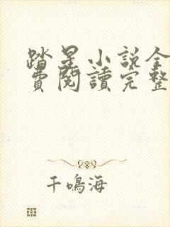 踏星小说全文免费阅读完整版无弹窗