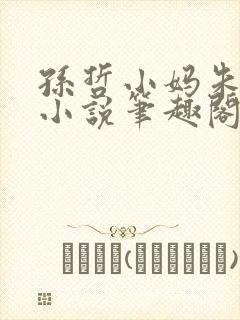 孙哲小妈朱颜的小说笔趣阁