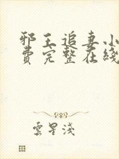 邪王追妻小说免费完整在线阅读