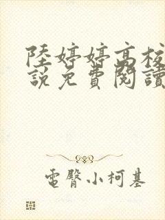 陆婷婷高校长小说免费阅读最新章节