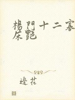 杨门十二寡妇肉床艳