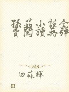 孙茹小说全文免费阅读无弹窗