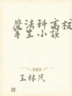 魔法科高校的劣等生小说