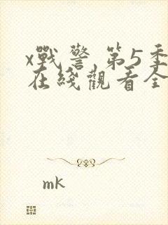 x战警 第5季在线观看全集免费播放封面