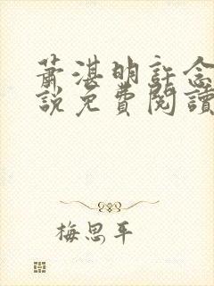 萧湛明许念薇小说免费阅读封面