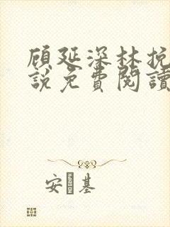 顾延深林挽音小说免费阅读最新章节封面