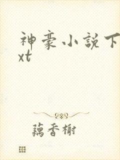 神豪小说下载txt封面