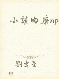 小说肉糜np封面