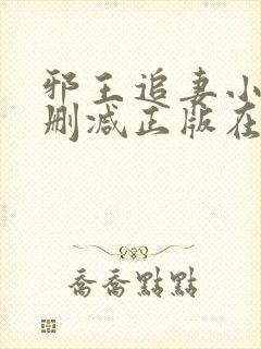 邪王追妻小说无删减正版在线阅读